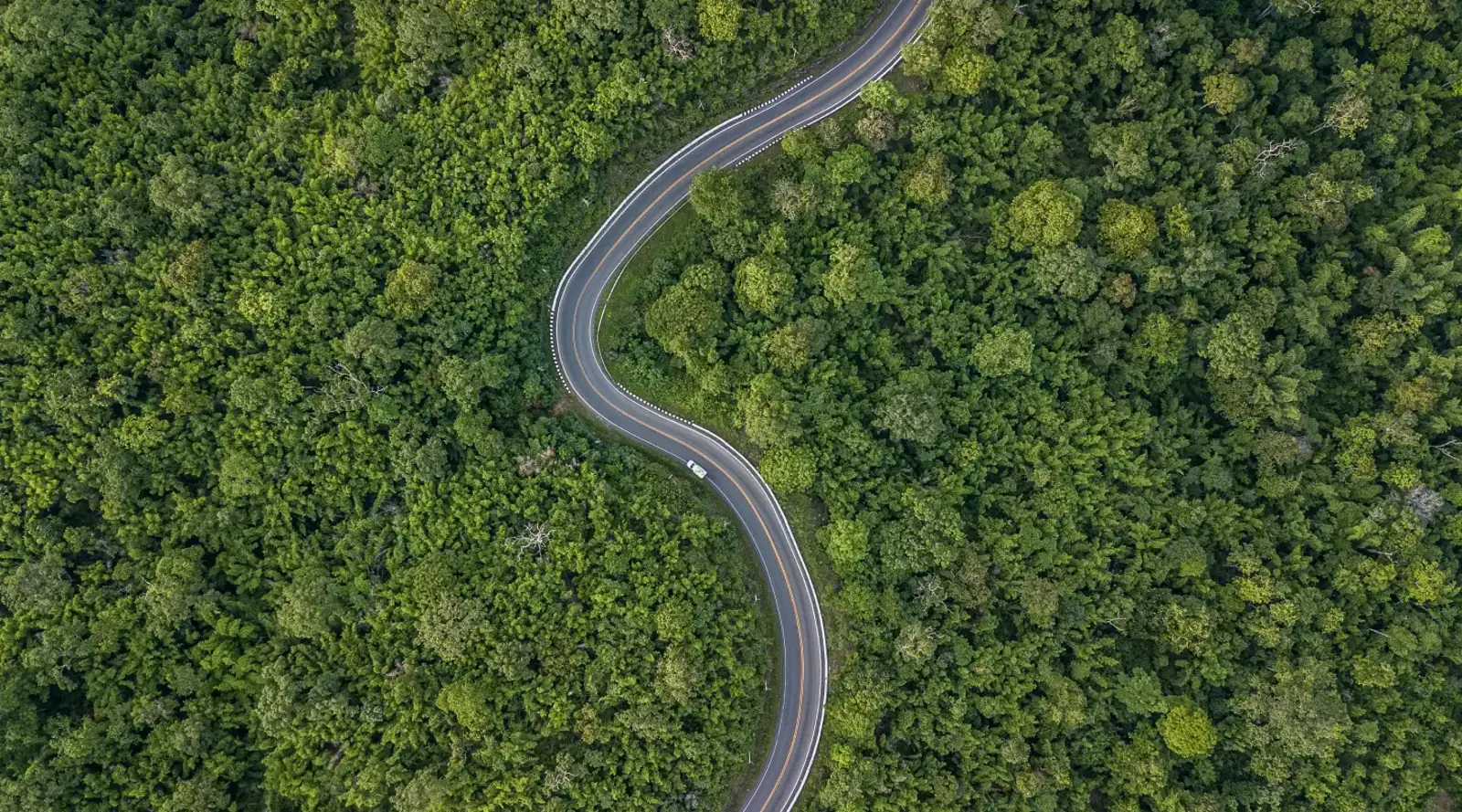Vibez Niharika, Chikmagalur